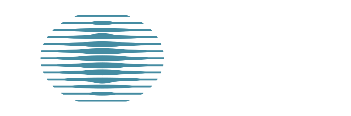 onchain surfer